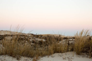 kış plaj çimenli kumul bariyer