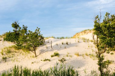 Doğu sahili kum tepesi yaz öğleden sonra