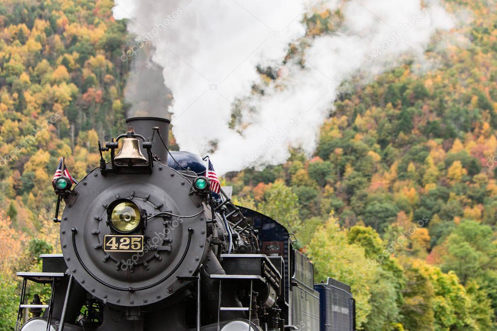 Steam engine train fall trees background
