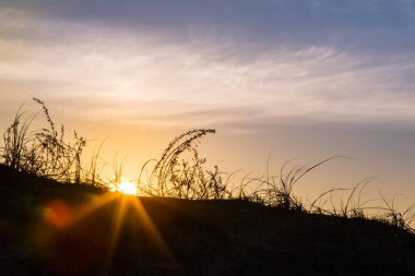Sahil çiti çiti manzarası
