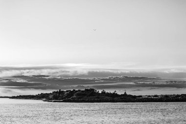 Sahil çiti çiti manzarası