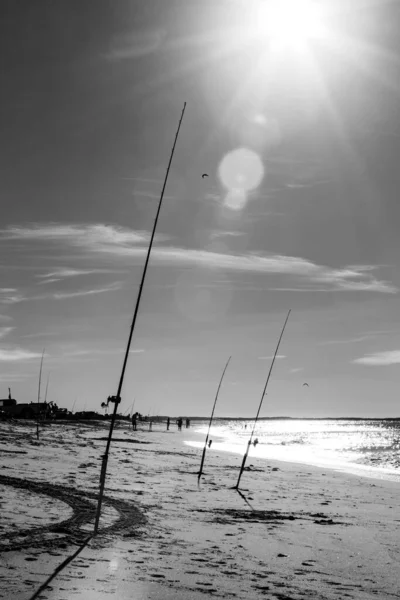surf fishing rods summer afternoon east coast beach