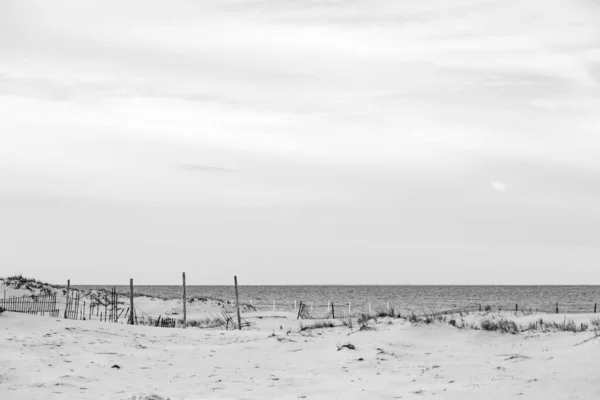 沙丘护栏东海岸海岸 — 图库照片