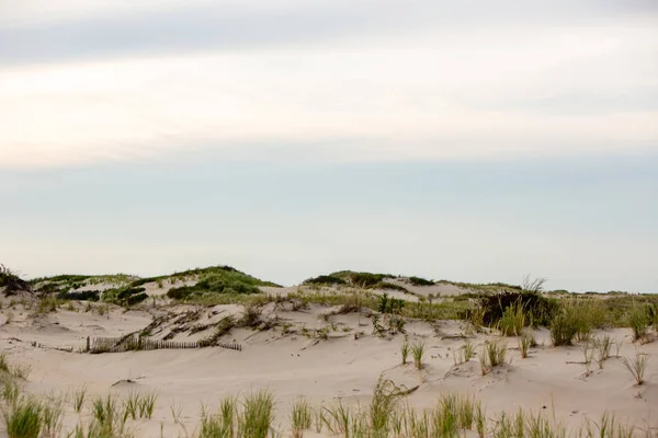 Dune Fence East Coast Shore — Stock Photo, Image