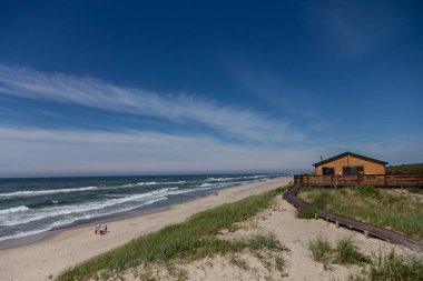 Curonian Spit üzerinde plaj manzarası