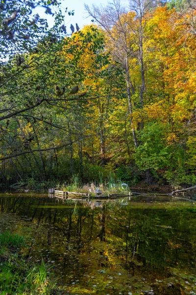 Autumn Forest — Stock Photo, Image