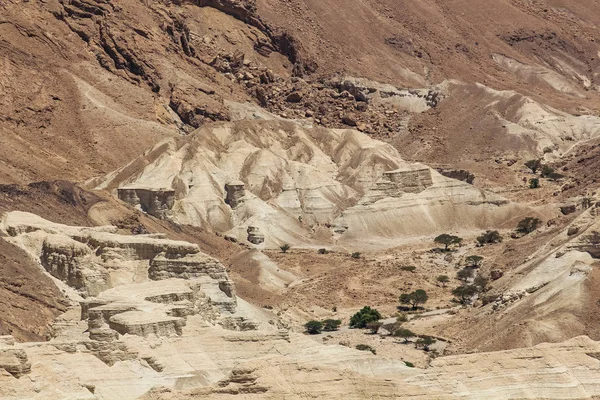 이스라엘에서 사막의 — 스톡 사진
