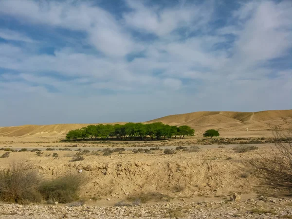 イスラエル共和国の赤い砂漠のビュー — ストック写真