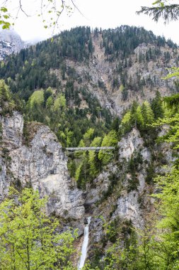 süspansiyon yaya köprüsü üzerinde gorge yakınındaki Bavyera Neuschwanstein Şatosu