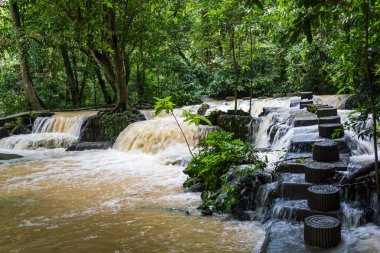 Çizgi atlama taşı ve şelale orman Phuket, Tayland