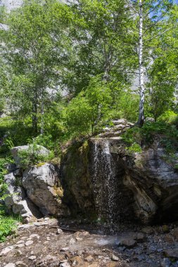 Bir şelale orman, altay, Rusya Federasyonu oluşturan dağ dere
