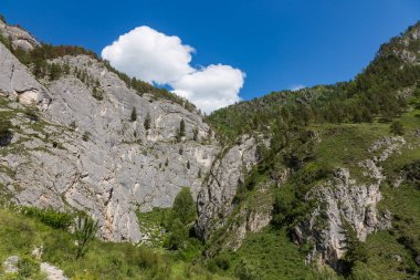 Dağ manzarası Katun ve Maly Yaloman nehirler, altay, Rusya izdiham vadisinde