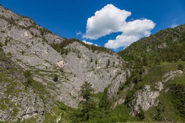 Dağ manzarası Katun ve Maly Yaloman nehirler, altay, Rusya izdiham vadisinde