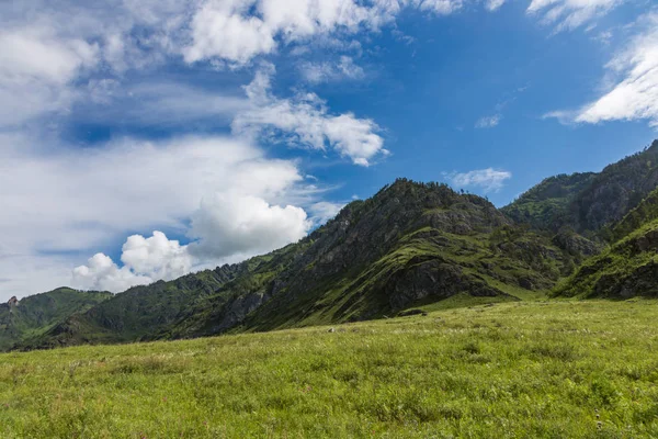 Mountain landscape in the valley of the confluence of the Katun and Maly Yaloman rivers, Altai, Russia