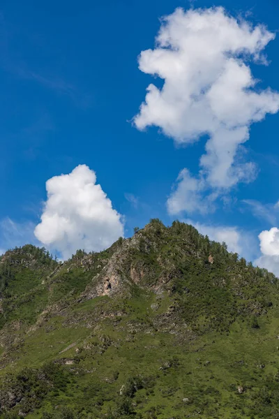 stock image Mountain landscape in the valley of the confluence of the Katun and Maly Yaloman rivers, Altai, Russia