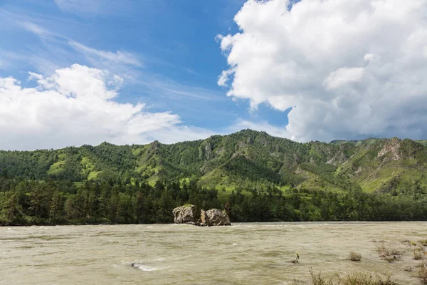 Velká Jarní Vody Řece Katun Okolní Hory Altaj Rusko — Stock fotografie