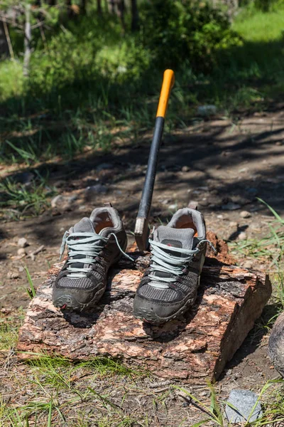 Sepatu Turis Kering Pada Log Mana Kapak Terjebak Altai Rusia — Stok Foto