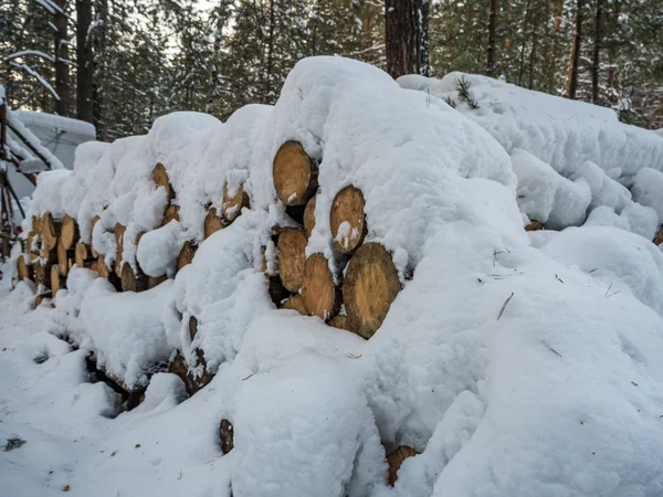 Leña Apilada Bajo Nieve Novosibirsk Rusia — Foto de Stock