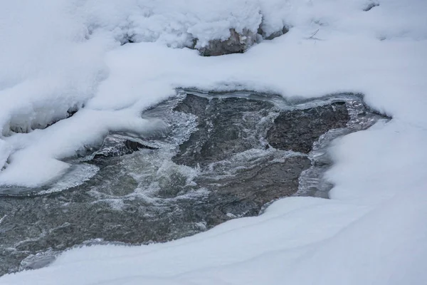 Поток Волшебном Зимнем Лесу Сочельник Алтай Россия — стоковое фото