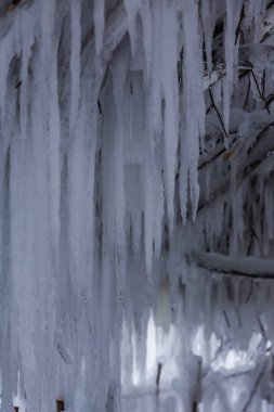 birçok buz sarkıtları asılı ahşap bir bina, altay, Rusya Federasyonu
