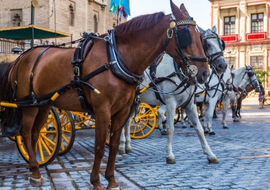 At arabaları, Seville, İspanya Merkez Meydanı ile otopark.
