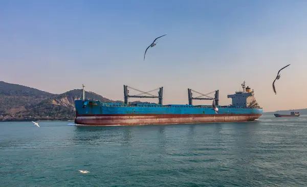 Sea Freighter Bosphorus Strait Turkey — Stock Photo, Image