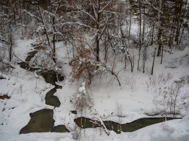 Rusya Kış karla kaplı ormanda güzel çizimler