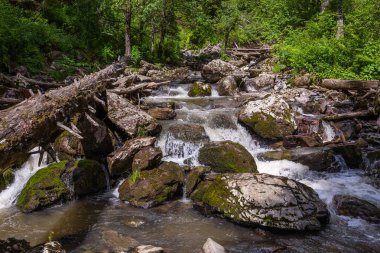 Altay, Rusya ormandaki nehir fırtınalı dağ