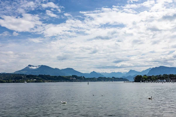 Uitzicht Het Vierwoudstrekenmeer Vierwoudstrekenmeer Zwitserland — Stockfoto