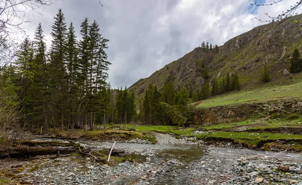 Pequeno rio de montanha Pequeno Yaloman em Altai — Fotografia de Stock