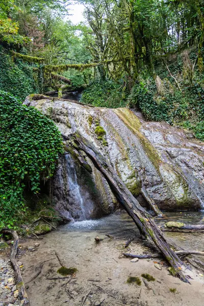 Fascinante viaje a través del valle de cascadas en el bosque de boj, región de Krasnodar, Rusia — Foto de Stock