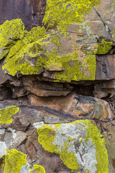 Musgo verde creciendo en rocas desnudas en las montañas de Altai, Rusia — Foto de Stock