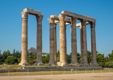 Atina'daki Zeus Olimpiyat Tapınağı'nın antik kalıntıları ve sütunlarının görünümü, Yunanistan