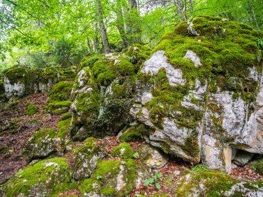 Yunanistan'da Olimpos Dağı'na tırmanırken büyüleyici ve zor bir yürüyüş