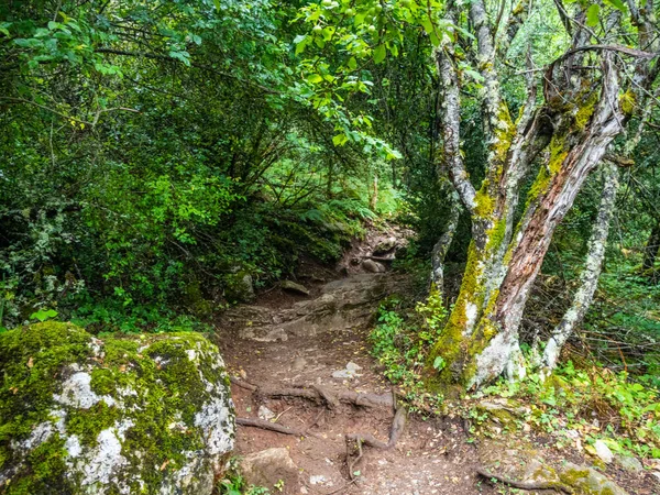 Une promenade fascinante et difficile lors de l'escalade du Mont Olympe en Grèce Image En Vente