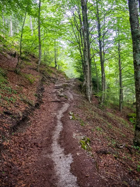 Une promenade fascinante et difficile lors de l'escalade du Mont Olympe en Grèce Photo De Stock