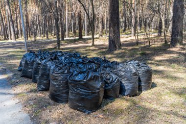 Çöple savaşmak dünya çapında bir sorundur. Bu çöp torbalarını şimdi nereye koyacağız??