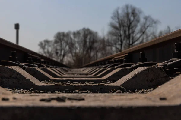 Le chemin de fer pour enfants vit une vraie vie de transport dans un parc naturel en Russie — Photo