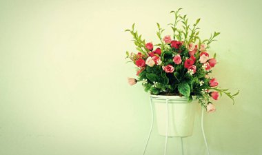 güzel renkli plastik çiçek.