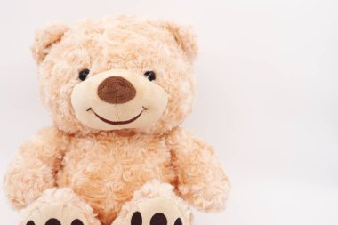 Beyaz arka planda oyuncak ayı