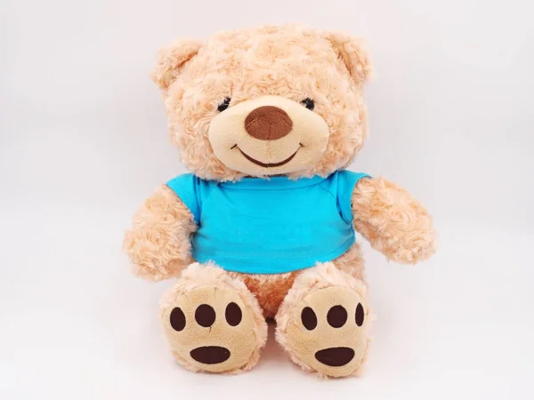 Teddy Bear White Background — Stock Photo, Image