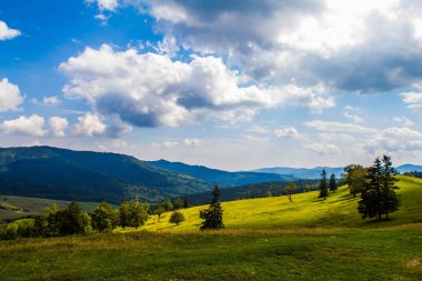 Sessiz dağlar Bucovina, Romanya