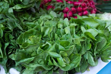 yeşil bahar, taze sebze