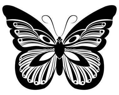 Monarch Kelebek vektör sanat şablon dövme veya t-shirt baskı