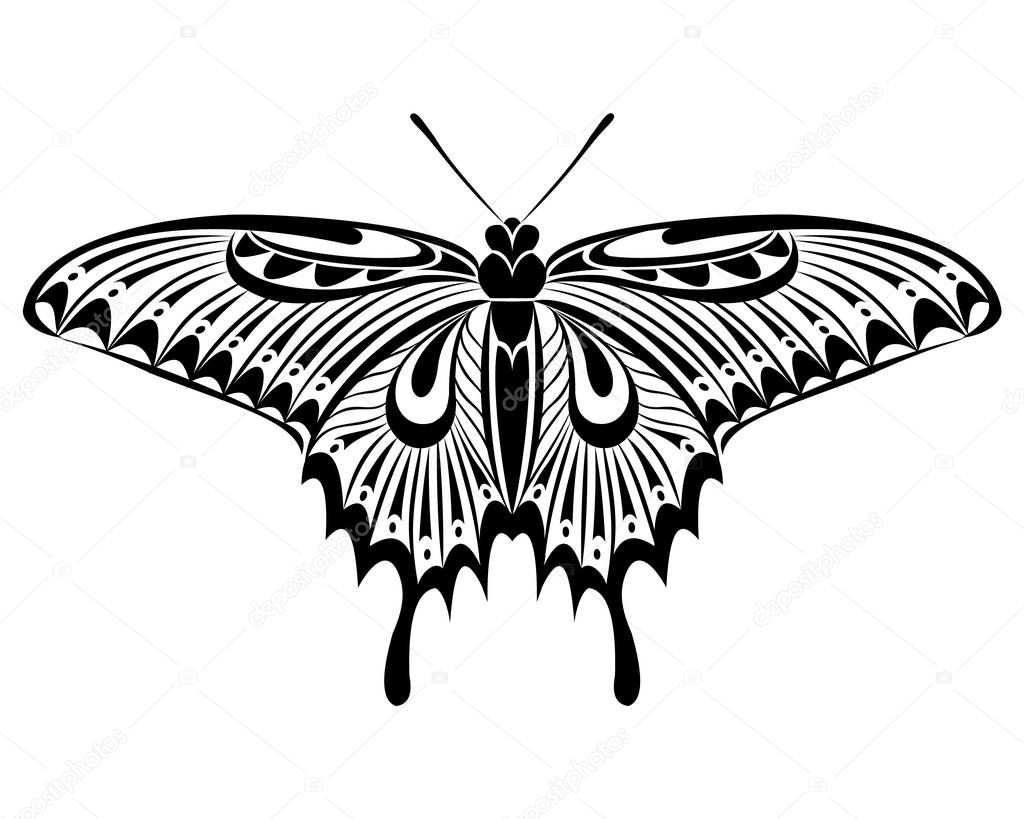 Papilio maackii Butterfly vector art stencil for tattoo or t-shirt print