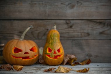 bir tabloda iki Turuncu kabak