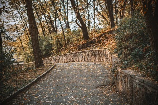 Road Autumn Park — Stock Photo, Image