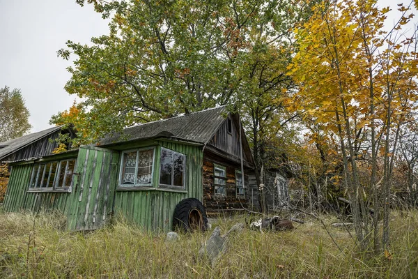 チェルノブイリの避難区域の黄色を始めた野生の植物の生い茂った放棄された住宅 — ストック写真