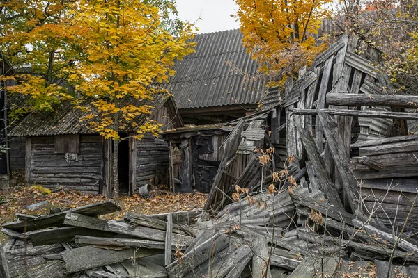 Verlassener Hof Überwuchert Mit Wildpflanzen Die Der Sperrzone Von Tschernobyl — Stockfoto