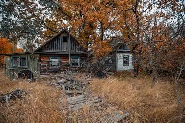Verlassene Häuser Überwachsen Mit Wildpflanzen Die Der Sperrzone Von Tschernobyl — Stockfoto